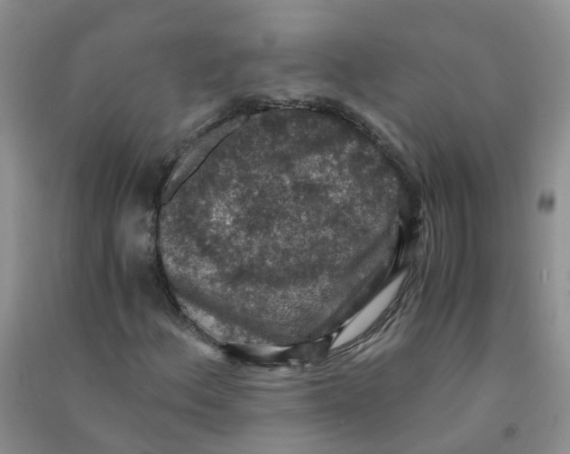 X0000090701156200708171840