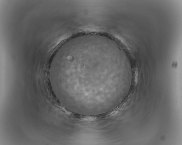 X0000090701157200708171840