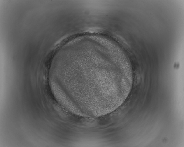 X0000090701158200708171840