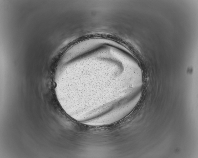 X0000090701159200708171840