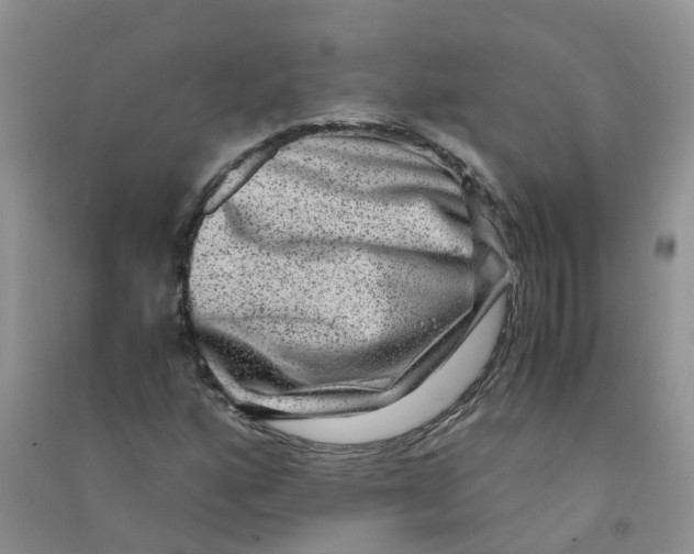 X0000090701160200708171840