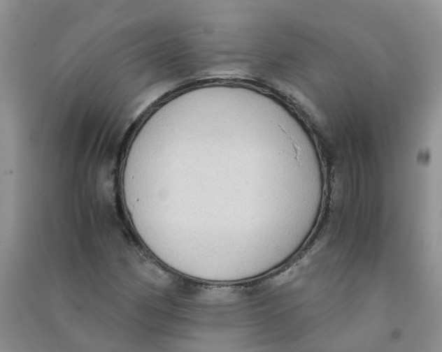 X0000090701162200708171840