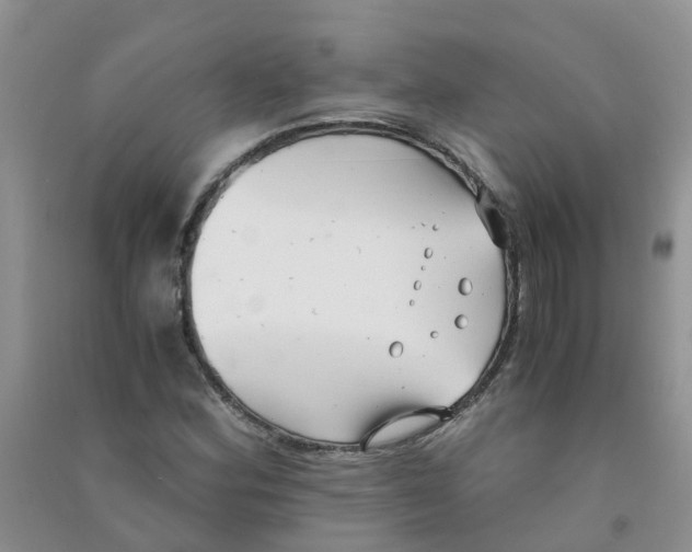 X0000090701164200708171840