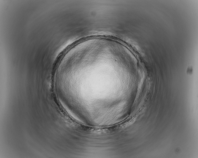 X0000090701165200708171840