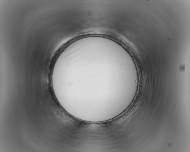 X0000090701166200708171840