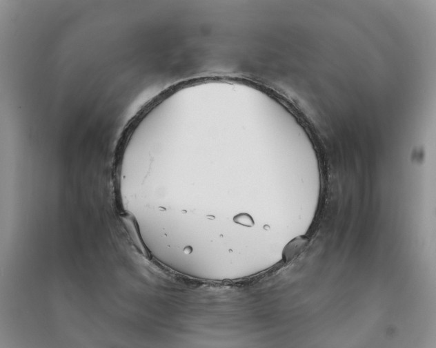 X0000090701168200708171840