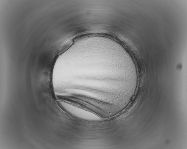 X0000090701169200708171840