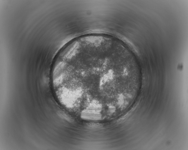 X0000090701170200708171840