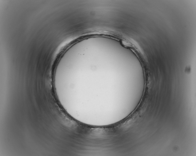 X0000090701172200708171840