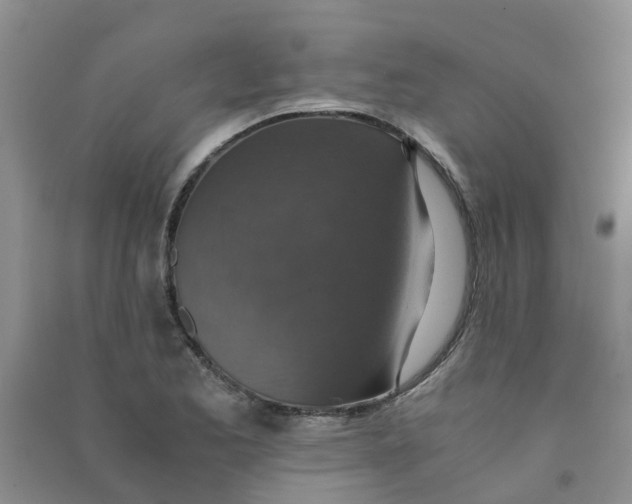 X0000090701173200708171840