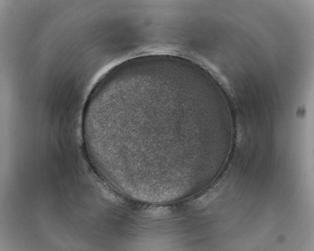 X0000090701174200708171840