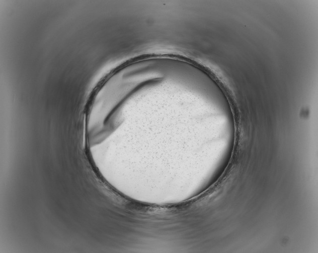 X0000090701175200708171840