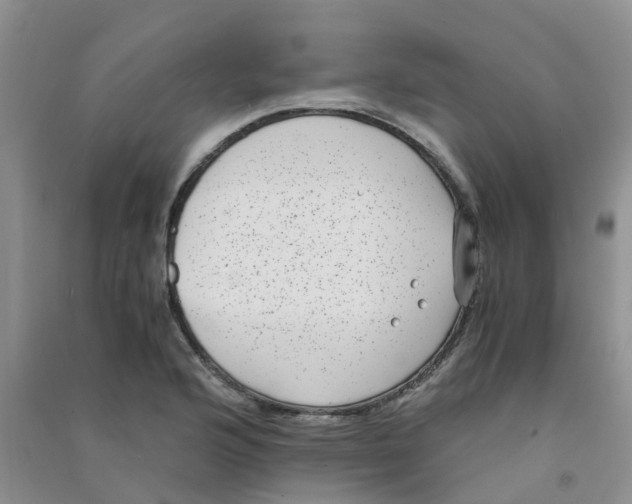 X0000090701176200708171840