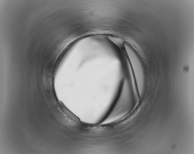 X0000090701177200708171840