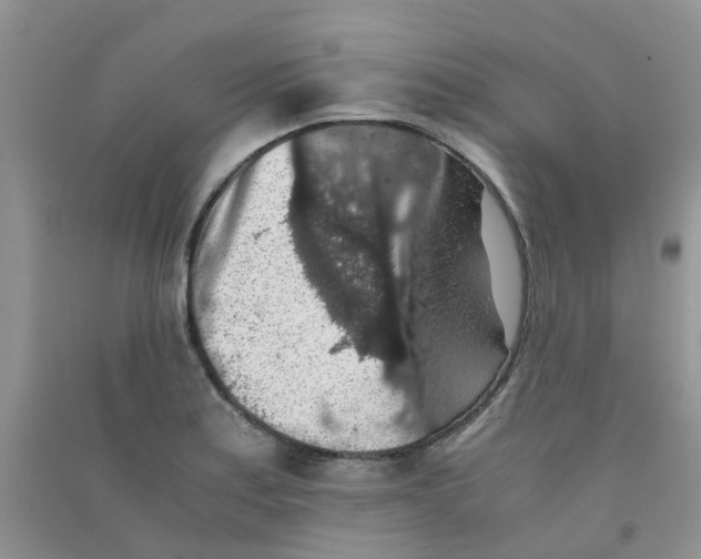 X0000090701179200708171840