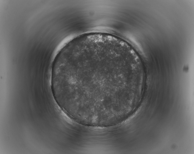 X0000090701180200708171840