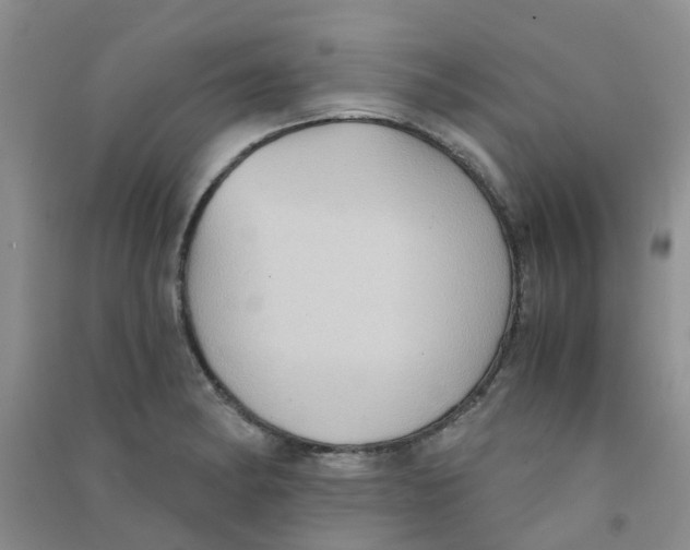 X0000090701182200708171840