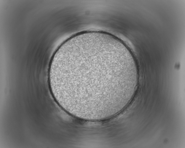 X0000090701183200708171840