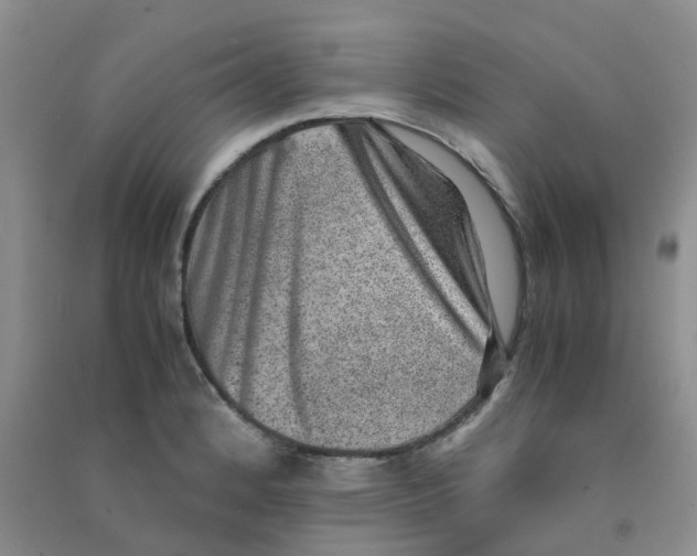 X0000090701184200708171840