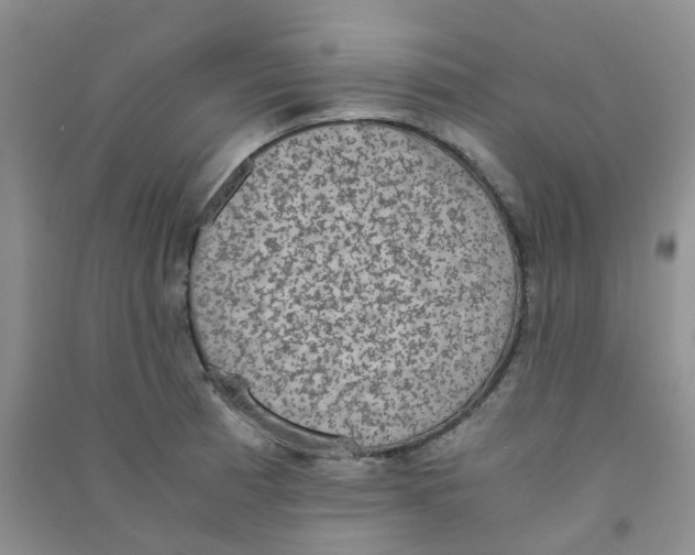 X0000090701185200708171840