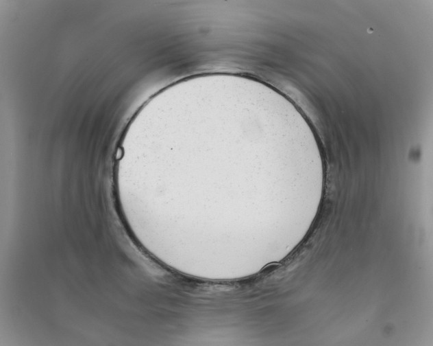 X0000090701187200708171840