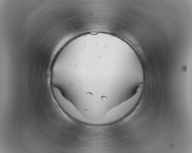 X0000090701188200708171840