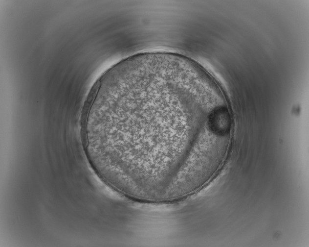 X0000090701189200708171840