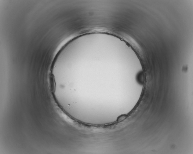 X0000090701190200708171840