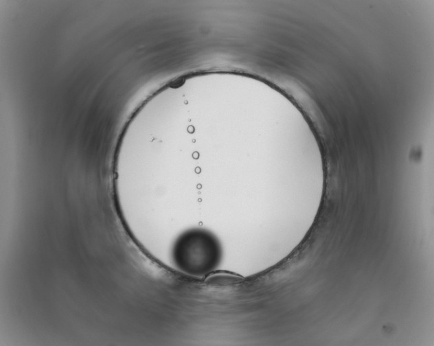 X0000090701191200708171840