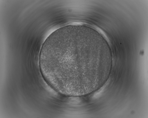 X0000090701194200708171840