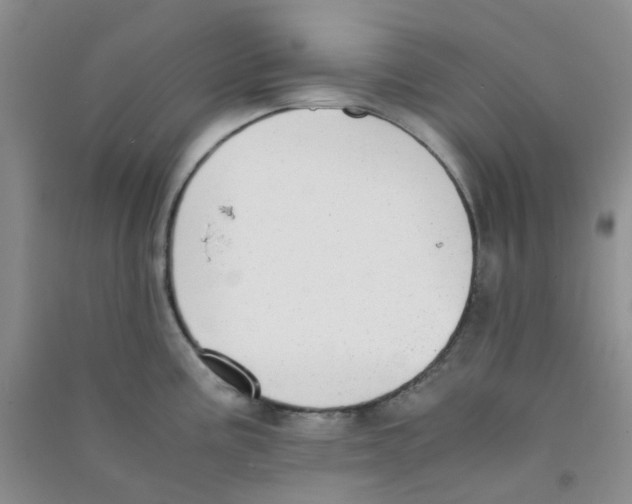 X0000090701195200708171840