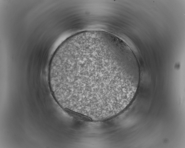 X0000090701196200708171840