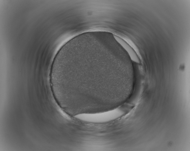 X0000090701197200708171840