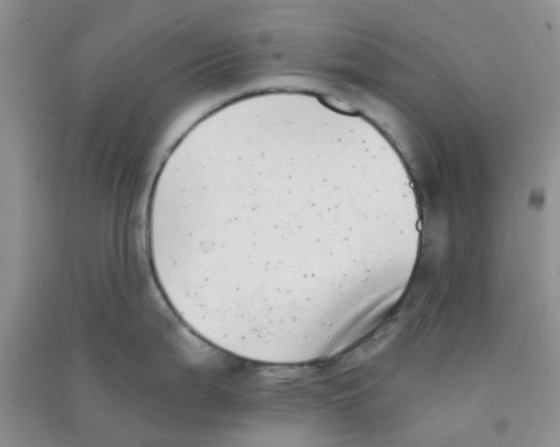 X0000090701199200708171840