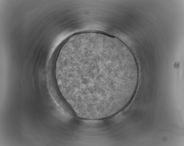 X0000090701200200708171840