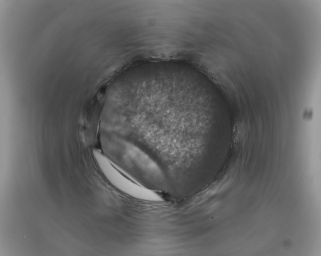 X0000090701202200708171839