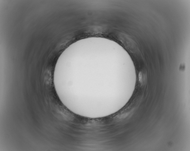 X0000090701203200708171839