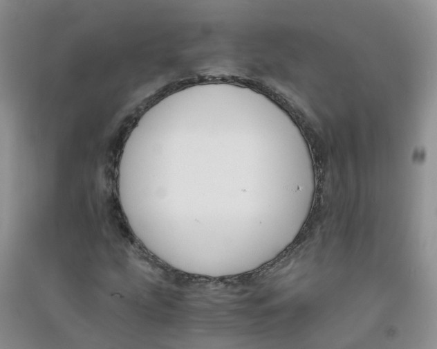 X0000090701207200708171839