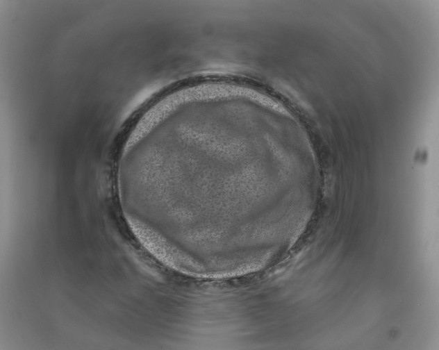 X0000090701208200708171839