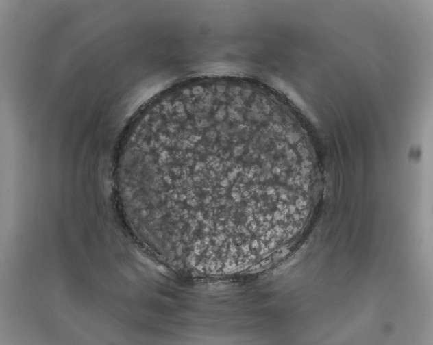 X0000090701213200708171839