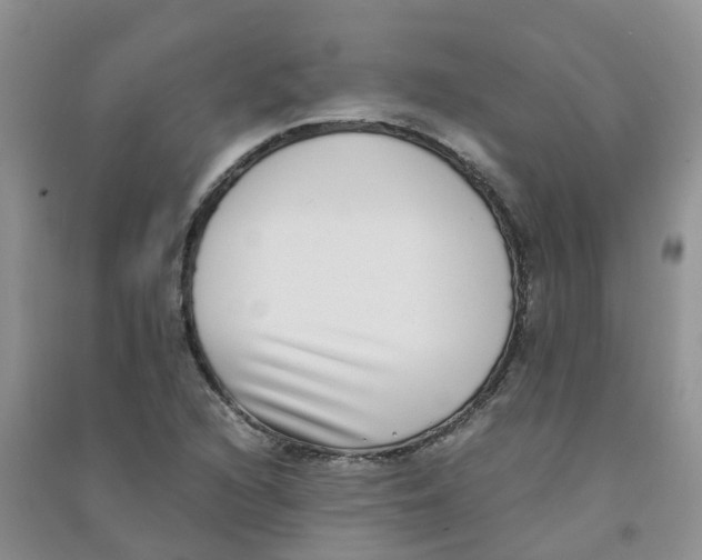 X0000090701216200708171839