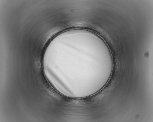 X0000090701218200708171839