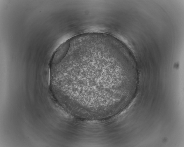 X0000090701219200708171839