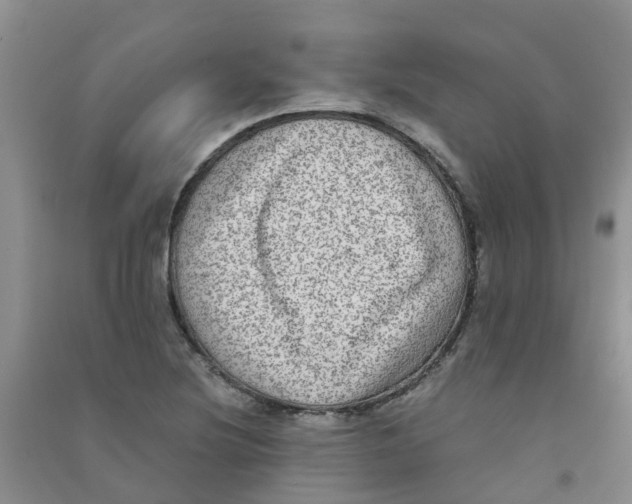 X0000090701220200708171839