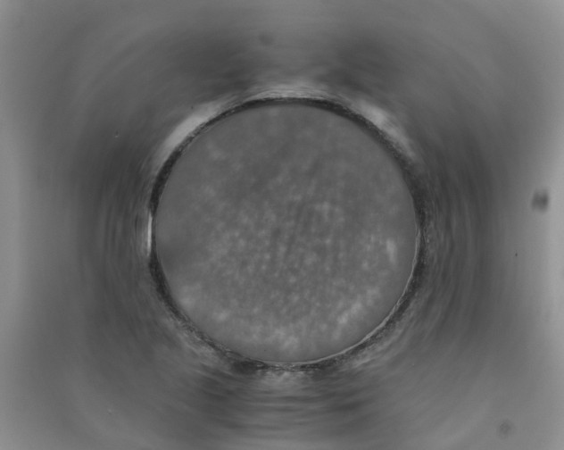 X0000090701221200708171839