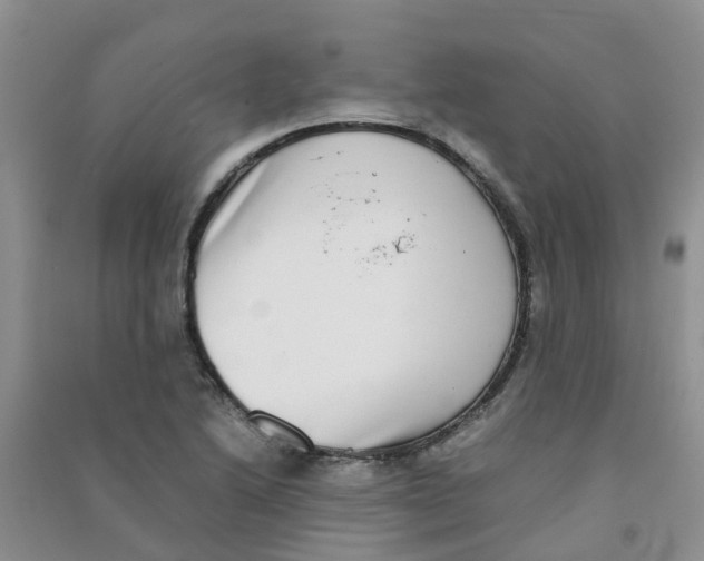 X0000090701222200708171839