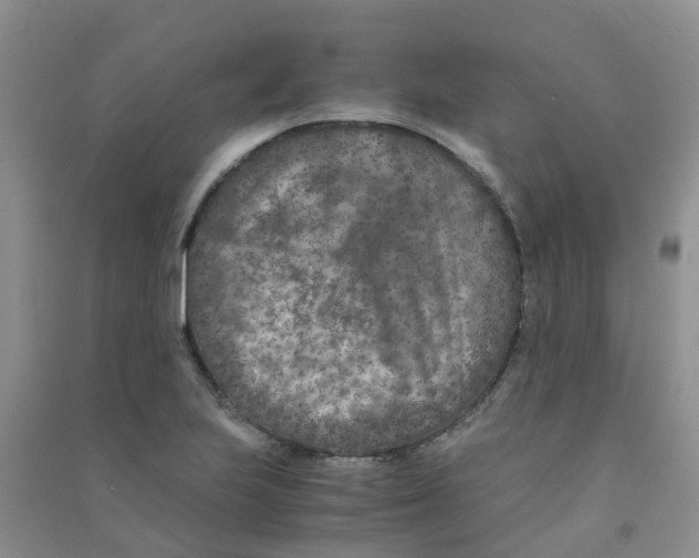 X0000090701223200708171839