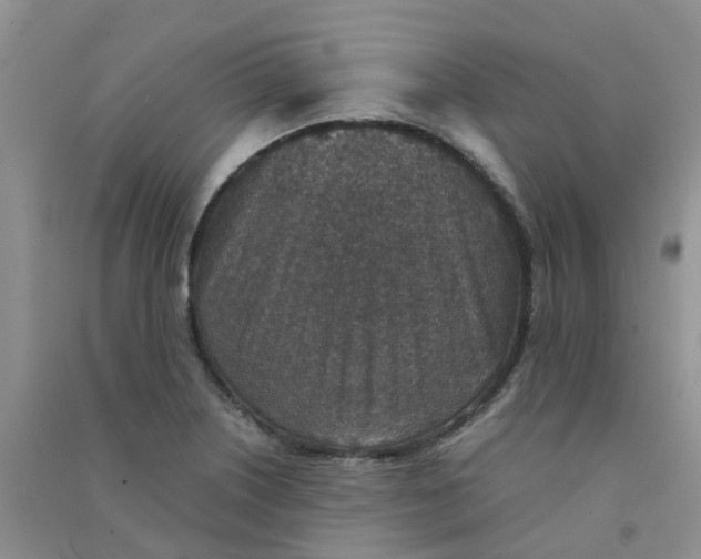 X0000090701226200708171839