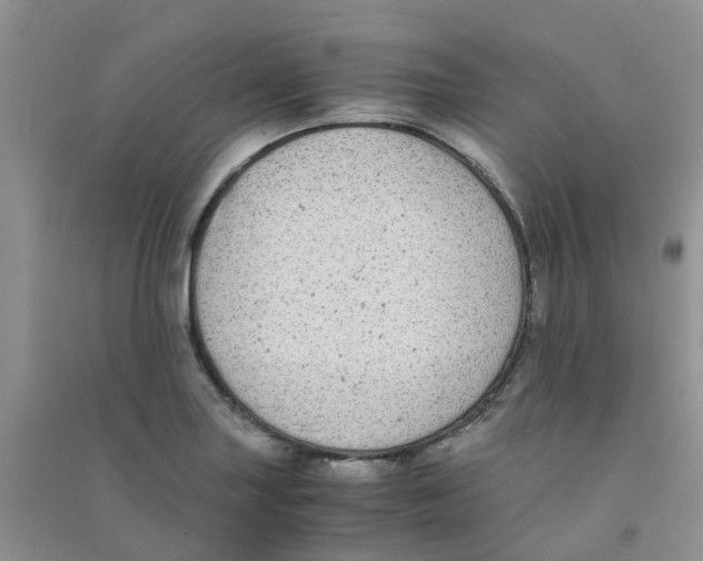 X0000090701227200708171839