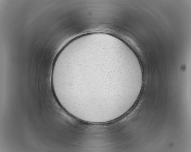 X0000090701228200708171839